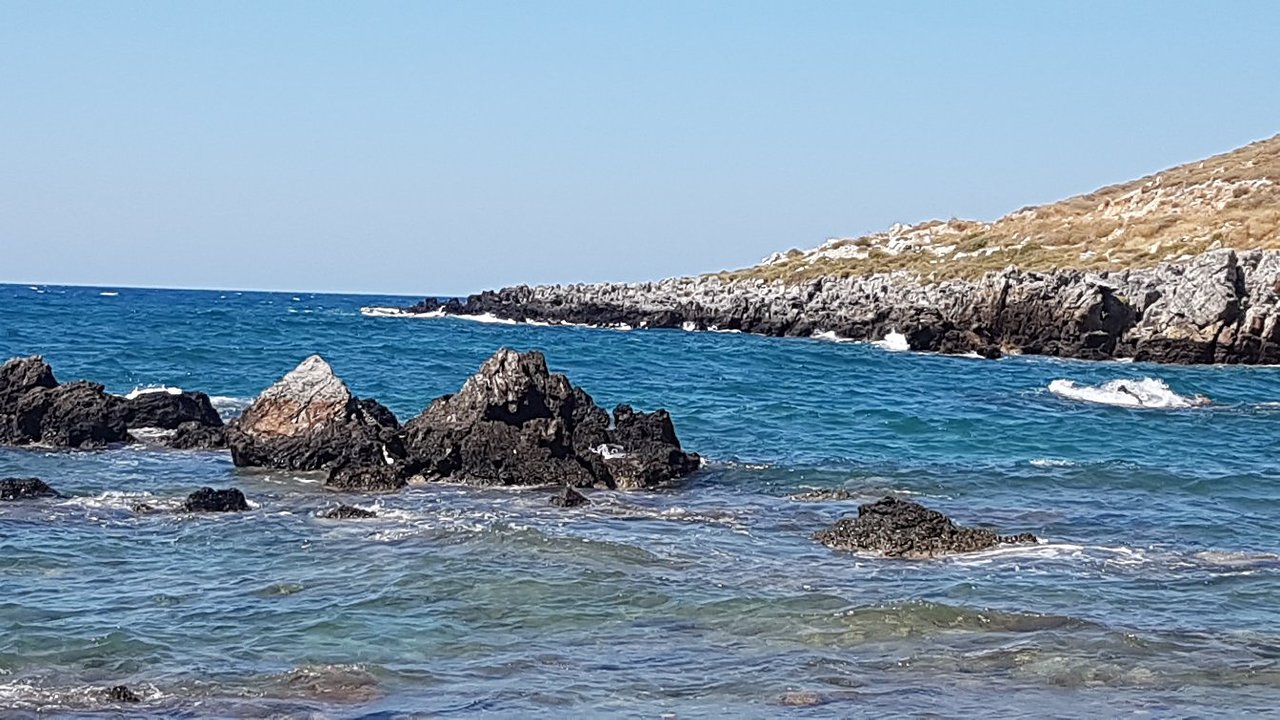 Petrés article image