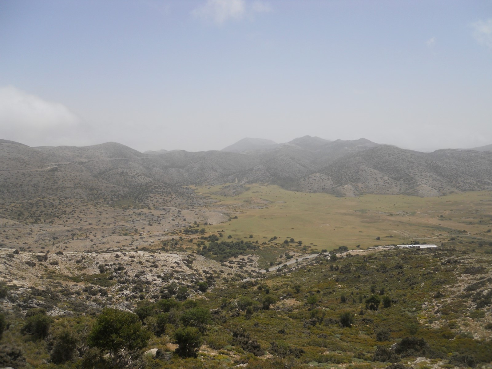 Idaion Antron article image