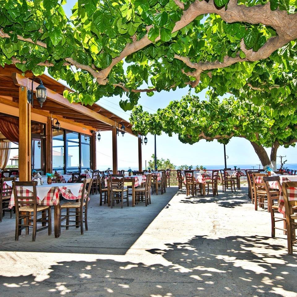 Hovoli article image