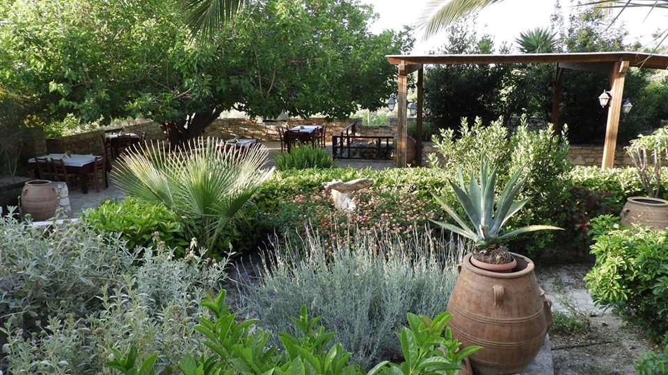 Kastro Mesi article image